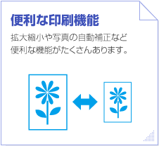 �֗��Ȉ���@�\�@�g��k����ʐ^�̎����␳�ȂǕ֗��ȋ@�\���������񂠂�܂��B